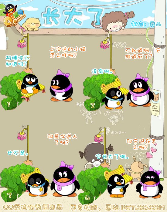 Q宠企鹅如何切换成简体中文语言