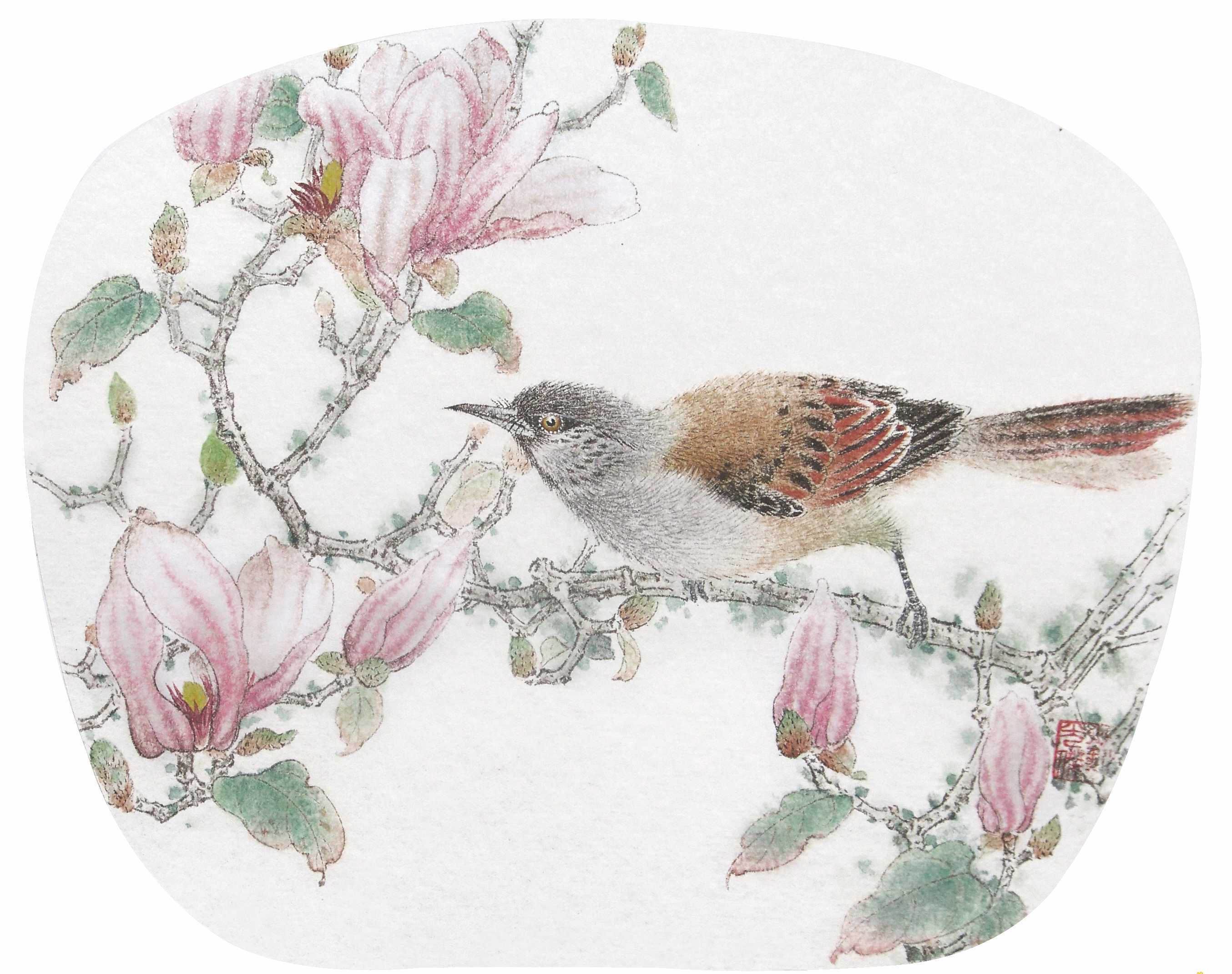 倦鸟余花-刘光杰的工笔小品[19p]