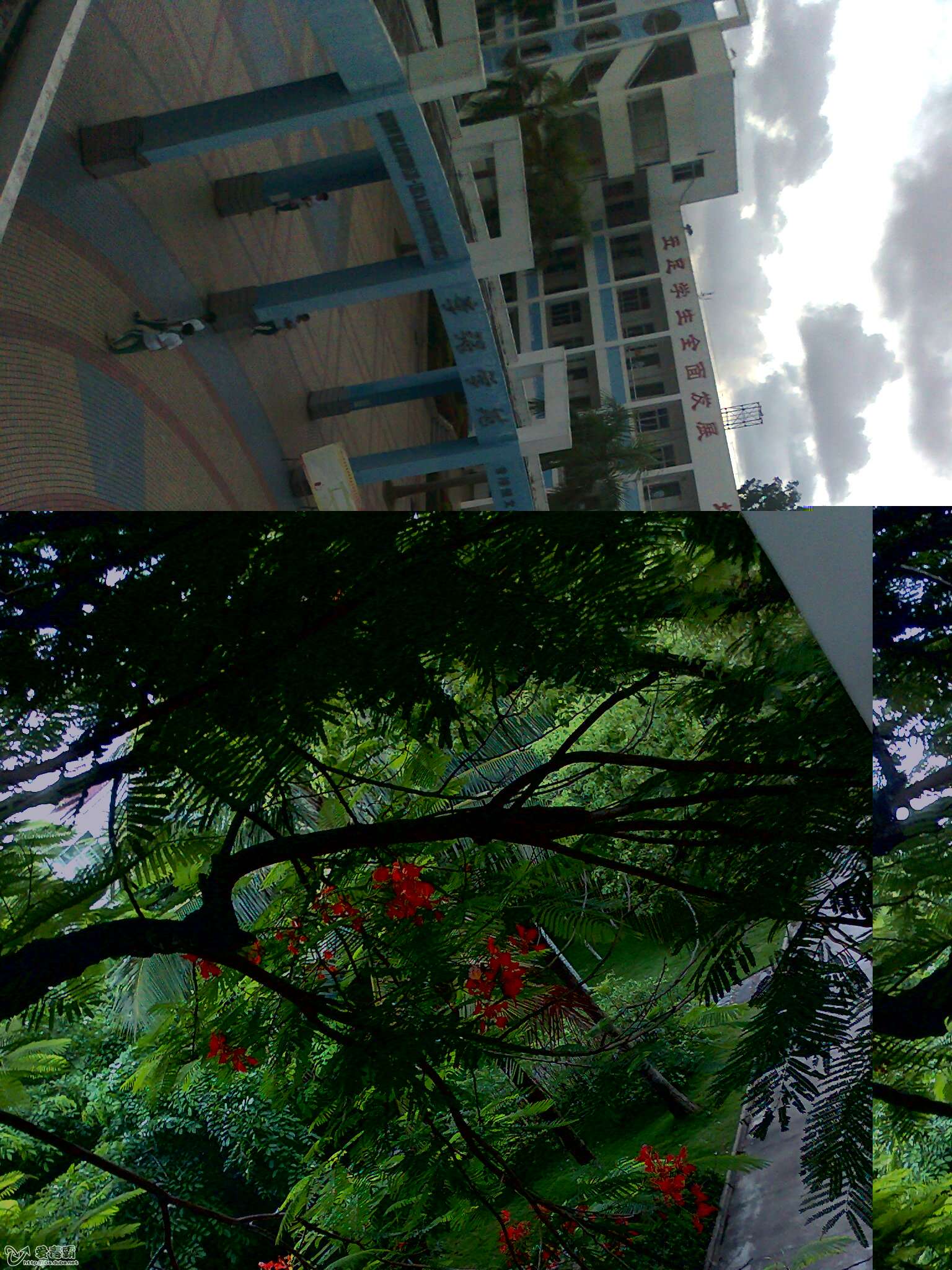 使用金山卫士数据<em>恢复图片</em>后,部分<em>图片无法打</em>